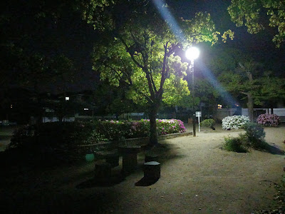 Hoshigaoka Park 사진 3