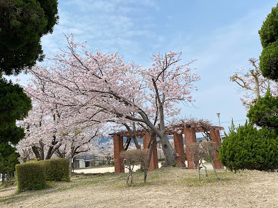 Nakahara Park 사진 3