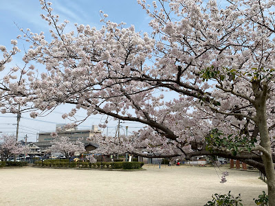 Nakahara Park
