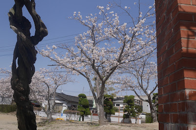 Nakahara Park 사진 4