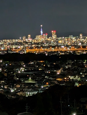 Kashiwara-minami Park 사진 4