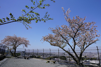 Kashiwara-minami Park 사진 5