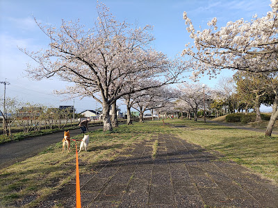 Seibu Sports Park 사진 4