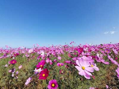 Iimori Park