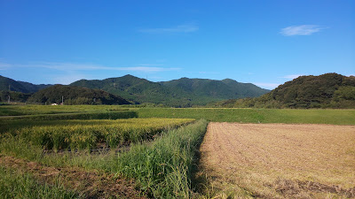 Iimori Park 사진 5