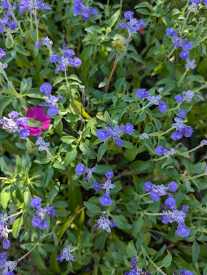 Umebayashinaka Park 사진 4