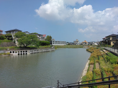 Hisayaike Ryokuchi Park 사진 2
