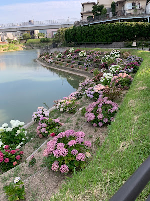 Hisayaike Ryokuchi Park 사진 3