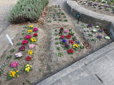 Hisayaike Ryokuchi Park 사진 5