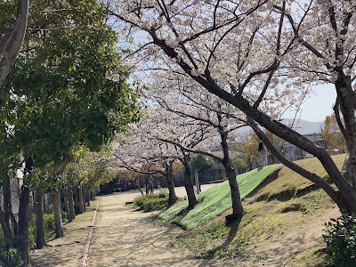 Sarayama Central Park 사진 5