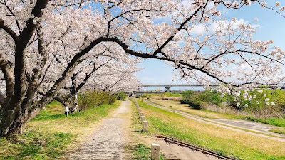 Muromigawa Riverside Park 사진 3