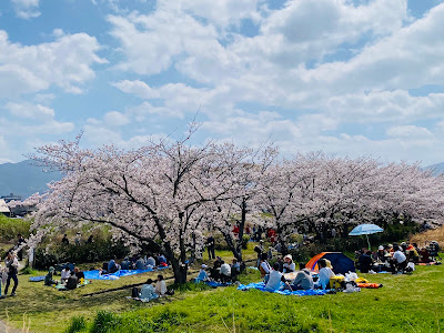 Muromigawa Riverside Park 사진 2