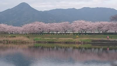 Muromigawa Riverside Park 사진 5