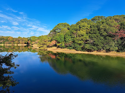 Seinanmorinokohan Park 사진 4
