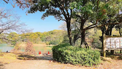 Seinanmorinokohan Park 사진 3