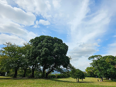 Seinanmorinokohan Park 사진 5
