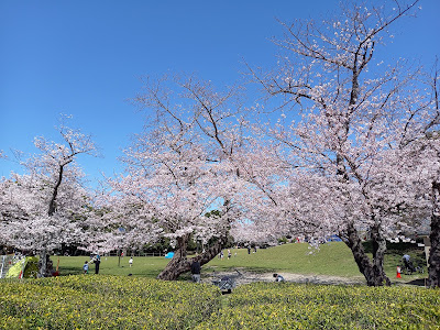 Seinanmorinokohan Park 사진 2
