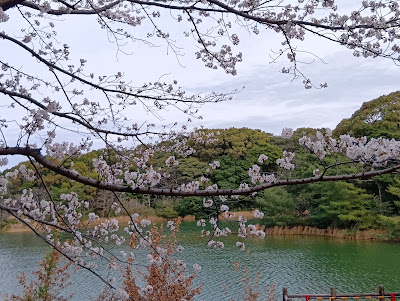 Hoshikuma Central Park 사진 2