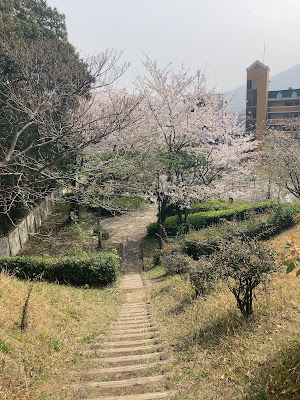 Shinshoji Ryokuchi Park 사진 4
