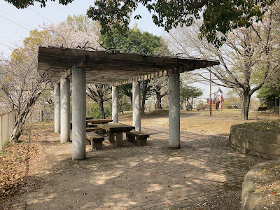 Shinshoji Ryokuchi Park 사진 5