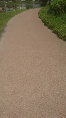 西の堤池 사진 3