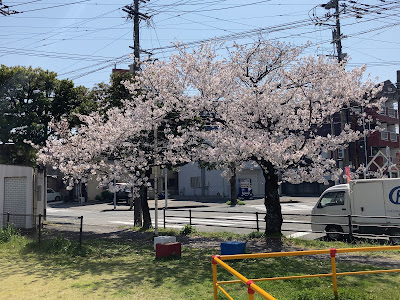 Nagao Park 사진 5