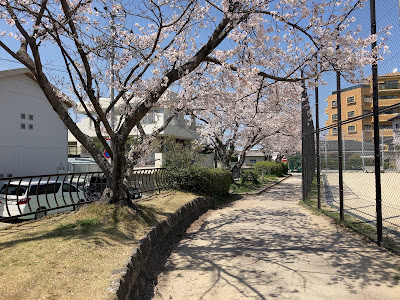 Shimonagao Central Park 사진 4