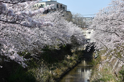 Shimonagaohigashi Park