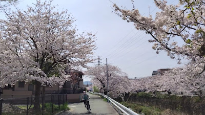 Shimonagaohigashi Park 사진 3