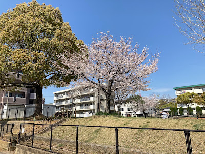 Nagaokahigashi Park 사진 3