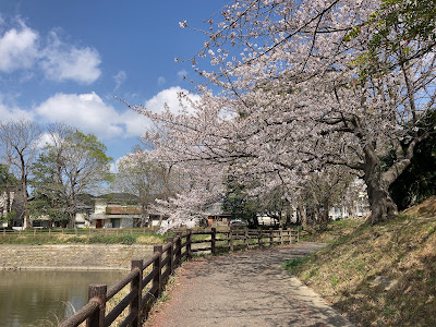 Rokusuke Park 사진 2
