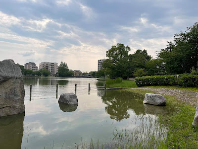 親水溜池 사진 4