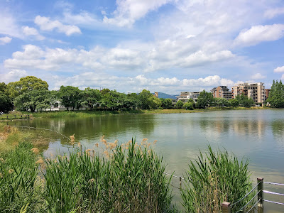 親水溜池 사진 5
