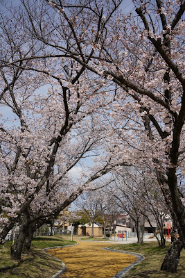 Ijiri Park