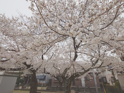 이케다 공원 사진 4