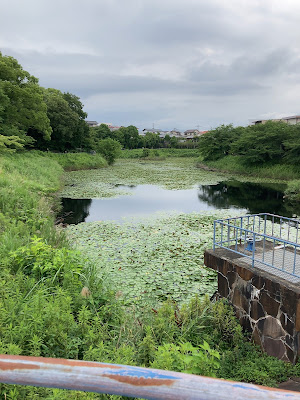 Chayama Central Park 사진 3
