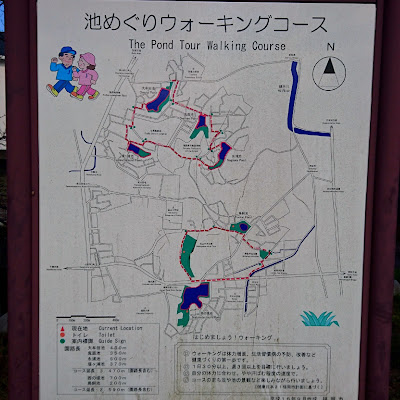 Chayama Central Park 사진 2