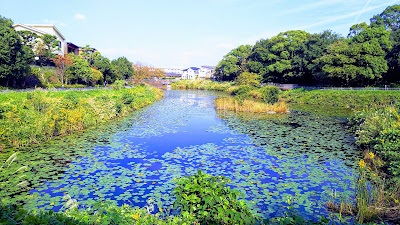Chayama Central Park 사진 4