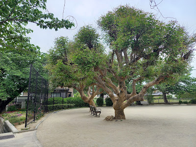 Iikura Park