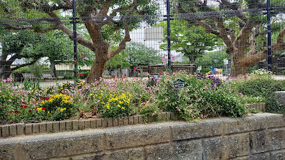 Iikura Park 사진 4