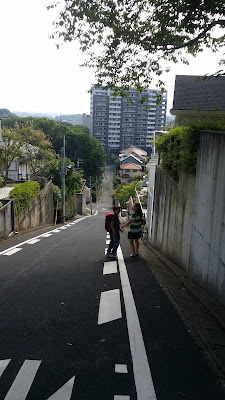 Sasaoka Ryokuchi Park 사진 3