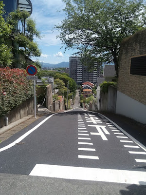 Sasaoka Ryokuchi Park 사진 5