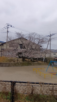 토모오카키타 공원 사진 4