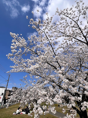 Shiobaranaka Park 사진 4