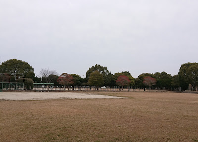카미츠키구마 츄오우공원 사진 4