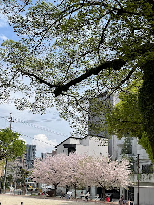 잇폰기 공원 사진 2