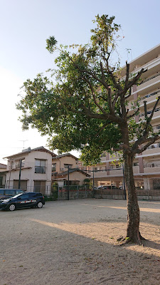 Higashinaka Park