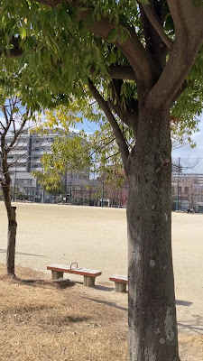 메이노하마 중앙공원 사진 3