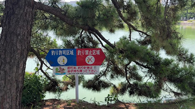 오호리 공원 창포도 사진 3