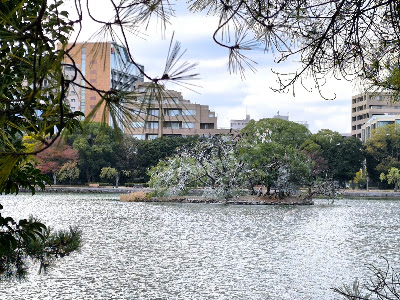 Kamojima 사진 4